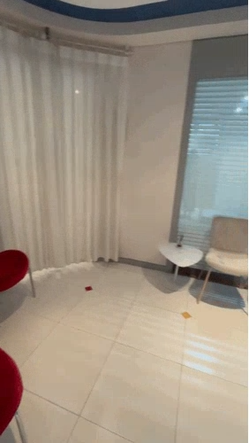 videoframe_1311